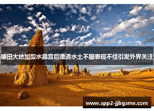 镰田大地加盟水晶宫后遭遇水土不服表现不佳引发外界关注