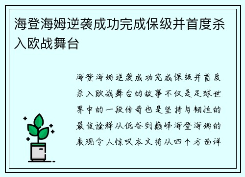 海登海姆逆袭成功完成保级并首度杀入欧战舞台